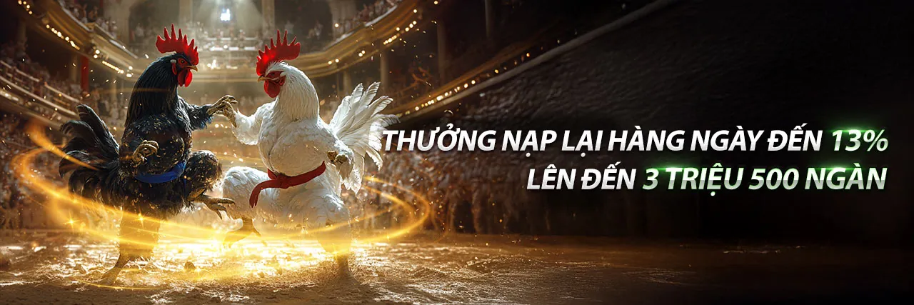 Đá gà trực tuyến hàng đầu WW8